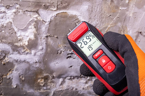 Best Industrial Mold Remediation in Fitchburg, WI