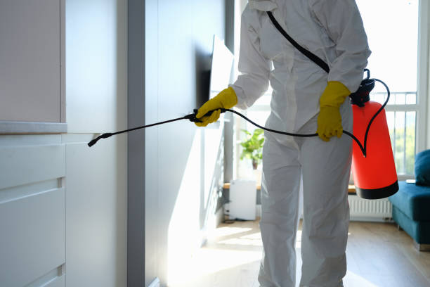 Best Bathroom Mold Remediation in Fitchburg, WI