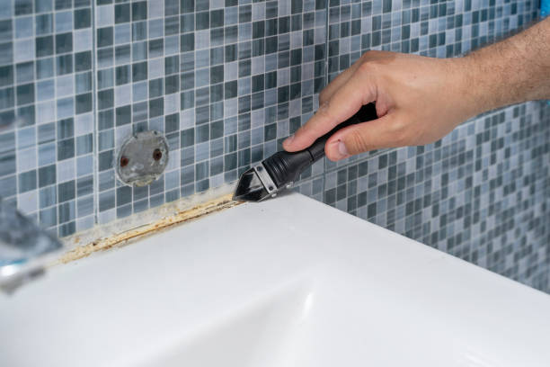 Best Mold Remediation for Specific Building Types in Fitchburg, WI